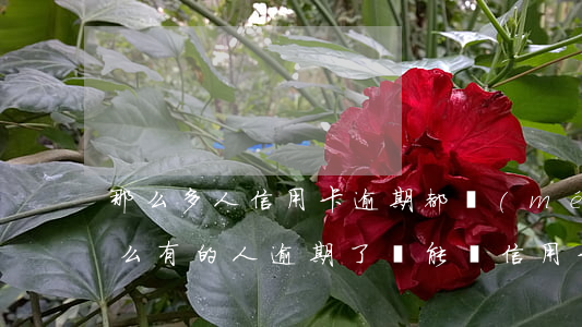 那么多人信用卡逾期都沒(méi)事(為什么有的人逾期了還能辦信用卡)
