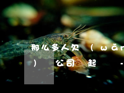 那么多人欠網(wǎng)貸網(wǎng)貸公司該起訴誰-那么多人欠網(wǎng)貸網(wǎng)貸公司該起訴誰呢