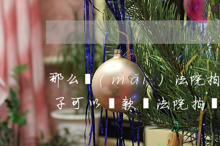 那么買(mǎi)法院拍賣(mài)的房子可以貸款嗎(法院拍賣(mài)的房子能貸款買(mǎi)嗎)