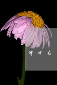 那些为省钱“假离婚”的人，最后离了赔了