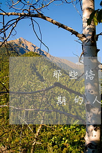 那些信用卡逾期的人太惡心了(那些信用卡逾期的人太惡心了)