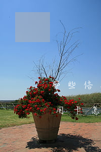 那些信用卡逾期的人怎么過的(逾期多年的信用卡怎么處理比較好)
