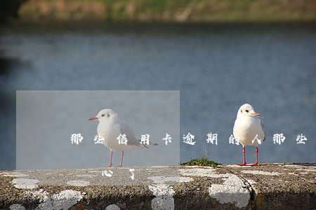 那些信用卡逾期的人(那些信用卡逾期的人太惡心了)