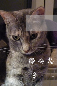 那些欠了巨額網(wǎng)貸的人過的有多慘-那些欠了巨額網(wǎng)貸的人過的有多慘啊