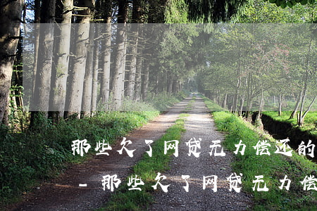 那些欠了网贷无力偿还的人最后都怎么样了-那些欠了网贷无力偿还的人最后都怎么样了呢