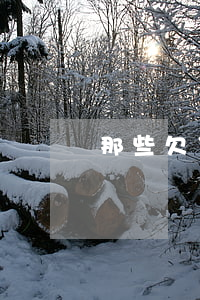 那些欠了网贷跑路的(欠网贷可以跑路吗)