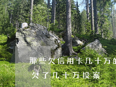 那些欠信用卡几十万的人都怎么样了（信用卡欠了几十万投案）