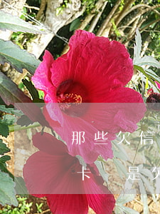 那些欠信用卡和網(wǎng)貸的(欠信用卡還是欠網(wǎng)貸怎么選擇)