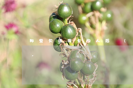 那些欠信用卡的人后來(lái)怎么樣了-