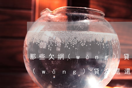 那些欠網(wǎng)貸沒還的怎么弄(欠網(wǎng)貸沒還還可以網(wǎng)貸嗎)