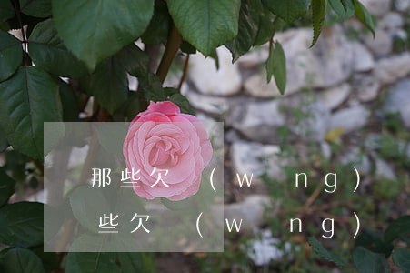 那些欠網(wǎng)貸的后來怎么樣了(那些欠網(wǎng)貸最后都怎么樣了)