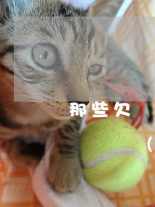 那些欠網(wǎng)貸的女人(女生欠了十幾萬網(wǎng)貸)