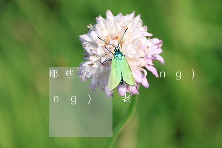 那些欠網(wǎng)貸的老賴們 網(wǎng)貸 老賴