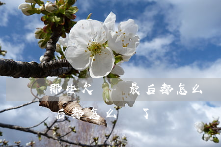 那些欠網貸最后都怎么樣了-欠網貸的人最后都怎么樣了