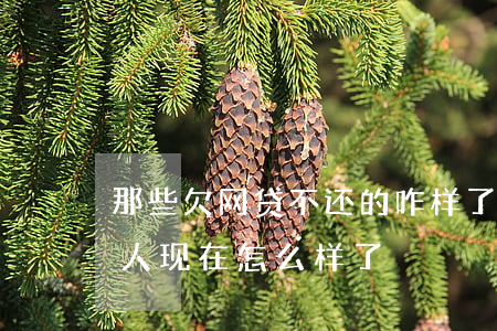 那些欠网贷不还的咋样了(那些欠网贷不还的人现在怎么样了)