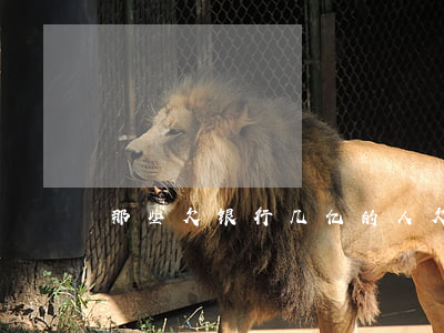 那些欠银行几亿的人 欠银行几个亿银行怕你