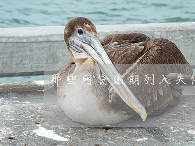 那些网贷逾期列入失信(贷款逾期算失信吗)