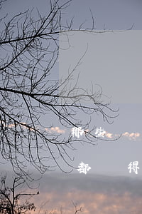那些負債的人都過得怎么樣-那些負債的人都過得怎么樣了