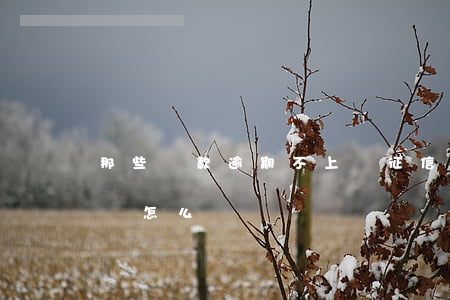 那些貸款逾期不上傳征信(貸款逾期上傳征信會怎么樣)