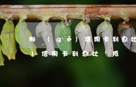 那個(gè)信用卡利息比較低(那個(gè)信用卡利息比較低)