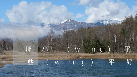 那個小額網(wǎng)貸平臺好下款(有哪些網(wǎng)貸平臺好下款)