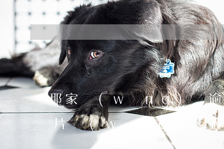 那家網(wǎng)貸逾期會發(fā)圖片(網(wǎng)貸逾期圖片怎么作假)