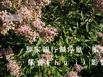 那家銀行做停息掛賬容易過(一家銀行停息掛賬會(huì)影響其他銀行嗎?)