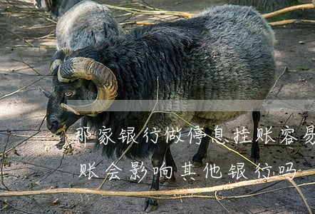 那家银行做停息挂账容易过(一家银行停息挂账会影响其他银行吗?)