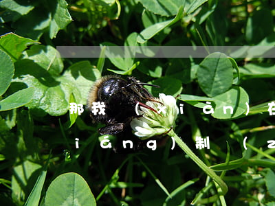 那我現(xiàn)在可以要求法院強(qiáng)制執(zhí)行嗎(強(qiáng)制執(zhí)行后法院不管了)