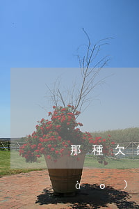 那種欠錢不還應(yīng)該怎樣報(bào)案(欠錢不還報(bào)警怎么處理)