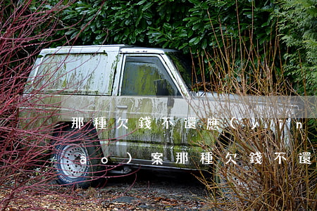 那種欠錢不還應(yīng)該怎樣報(bào)案(那種欠錢不還應(yīng)該怎樣報(bào)案)
