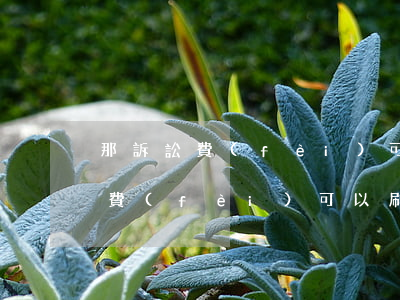 那訴訟費(fèi)可以刷信用卡嗎(交訴訟費(fèi)可以刷信用卡嗎)