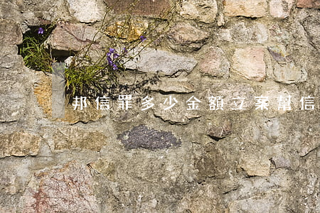 邦信罪多少金額立案(幫信罪怎么定罪)