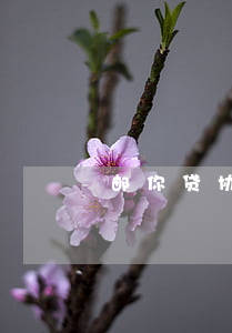 邮你贷协商（邮政信用卡本地协商）