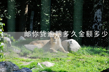 邮你贷逾期多久金额多少会起诉