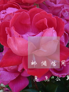 邮储信用卡利息19元(邮政银行的信用卡利息怎么算)