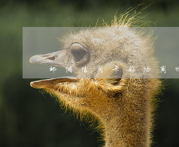 邮储信用卡好协商吗吗