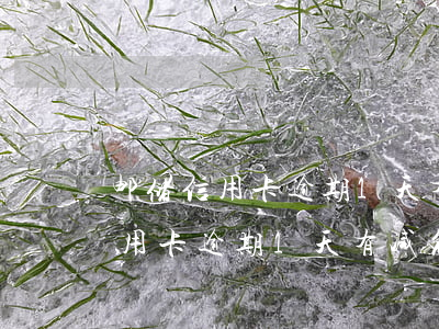 邮储信用卡逾期1天有减免政策么-邮储信用卡逾期1天有减免政策么
