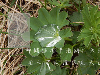 邮储信用卡逾期4天还最低还款额 邮政的信用卡可以推迟几天还款