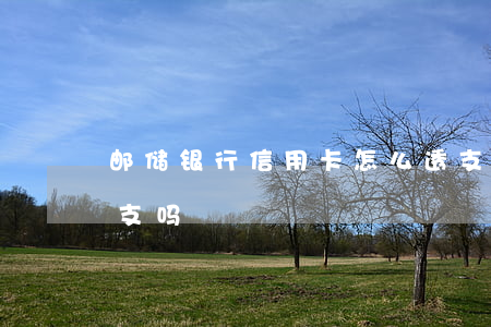 邮储银行信用卡怎么透支(邮政借记卡可以透支吗)