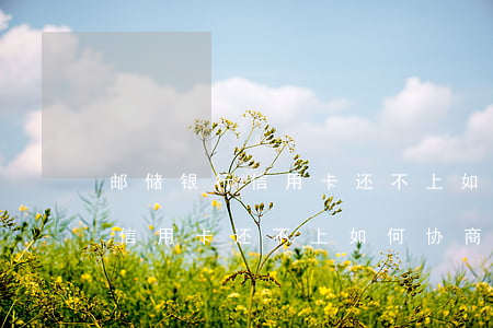 邮储银行信用卡还不上如何协商-邮储银行信用卡还不上如何协商还款