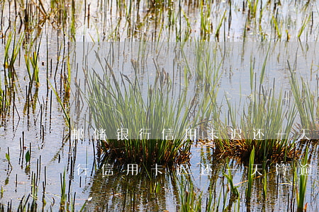 邮储银行信用卡迟还一天算逾期吗-邮储银行信用卡迟还一天算逾期吗怎么办