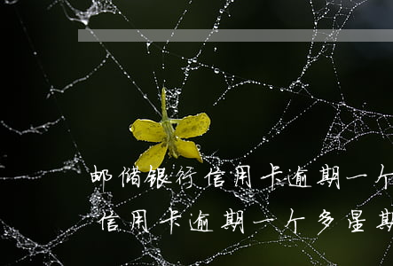 邮储银行信用卡逾期一个多星期-邮储银行信用卡逾期一个多星期会怎么样