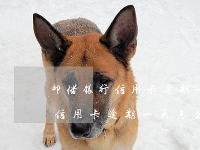 邮储银行信用卡逾期一天怎么办-邮储银行信用卡逾期一天怎么办理