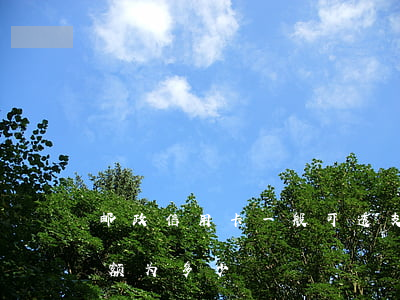 邮政信用卡一般可透支多少(邮政卡可透支余额为多少)