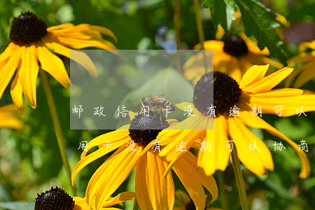 邮政信用卡没有逾期可以协商还款-邮政信用卡没有逾期可以协商还款吗