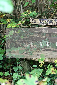 邮政信用卡逾期1天有事吗(邮政卡逾期几天)