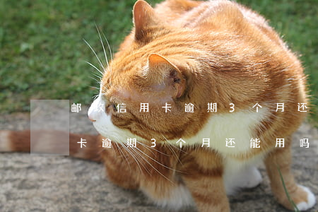 邮政信用卡逾期3个月还能用吗-邮政信用卡逾期3个月还能用吗