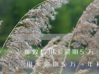 邮政信用卡逾期5万一年利息多少-邮政信用卡逾期5万一年利息多少钱