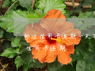 邮政信用卡逾期一天有事没(收到短信说邮政信用卡逾期)